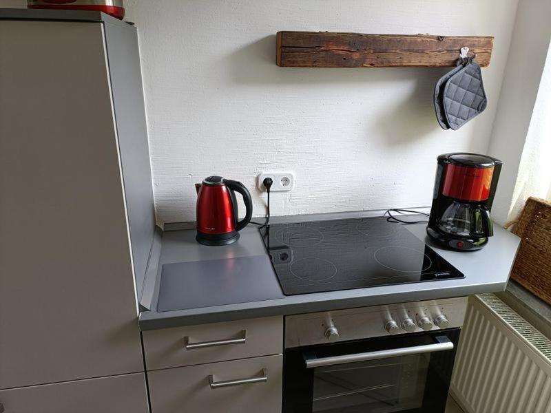 Apartment Luisa Ерфурт Екстер'єр фото